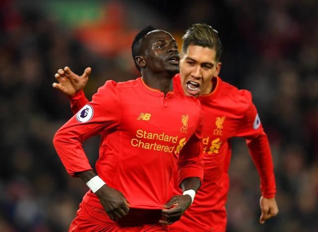 年轻前锋马 年轻前锋马